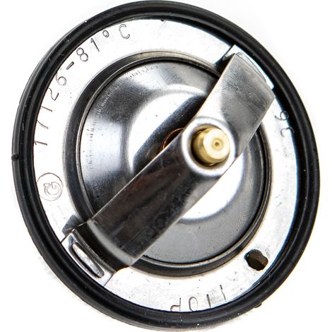 Boîtier de thermostat IH 60 mm 74717126 GRANIT 84383461 2856541 2853135 (1/3)