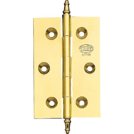Bisagra latón pulido 1003-070X050 Amig 3009 (1/6)