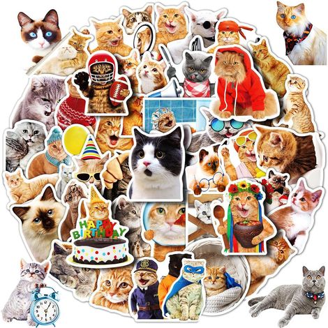 100 autocollants chats mignons, autocollants animaux en vinyle imperméable pour enfants, adolescentes et adultes, autocollants adhésifs pour bouteilles d'eau, ordinateurs portables, valises, téléphone (1/5)