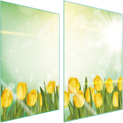 GLASSCHUTZPLATTE FÜR KÜCHE 2x35x52 TULPEN (1/5)