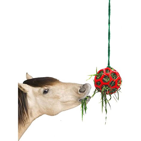 1 Pc Cheval Traiter Balle Mangeoire À Foin Jouet Chèvre Mangeoire Boule Suspendre Jouet d'alimentation pour Cheval Cheval Chèvre Mouton Soulager Le Stress, Cheval Stable Stand Paddock Rest (1/5)