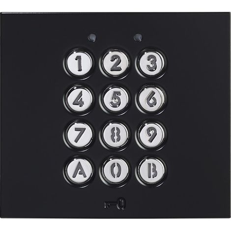 Ensemble clavier codé GTAC finition noire satinée 200439 - AIPHONE GTACB