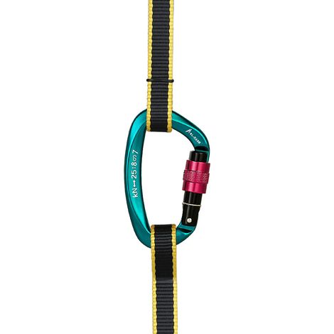 Mousqueton d'escalade professionnel 25KN, porte de verrouillage à vis, boucle robuste en forme de D, anneau en D, clip de hamac léger pour rappel, équipement de canyoning, équipement rapide (1/5)
