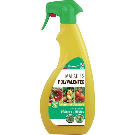 Trattamento base multiuso 750 ml SANS MARQUE