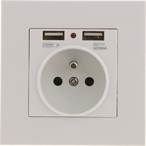 Wandsteckdose, Wandsteckdose mit zwei USB-Anschlüssen (5 V/2100 mA), versenkte Steckdose mit 2 USB-Anschlüssen, praktisch und einfach zu bedienen (1/5)