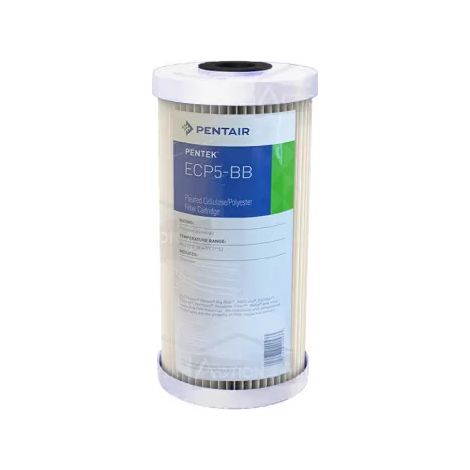 Cartouche Pentair ECP5-BB