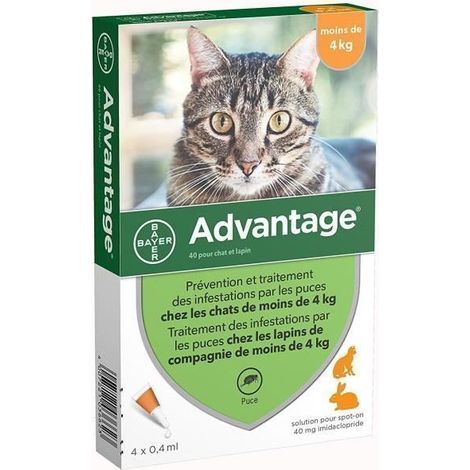 ADVANTAGE 40 - 4 pipette antiparassitarie - Per gatto e coniglio di meno di 4 kg