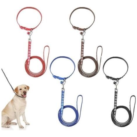 (Différentes couleurs disponibles)Collier et laisse pour chiot Réglable - 120 cm - Boucle de sécurité - Confortable (1/4)