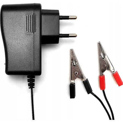 Caricabatterie da rete per batterie al gel da 12 V (1/4)