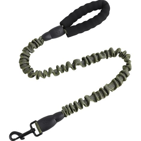 Laisse extensible réfléchissante pour chien, laisse élastique de dressage pour chiens (1/5)