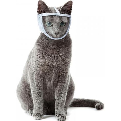 Muselière pour Chat, Protège-Visage pour Chat, Museau de Chaton Respirant pour Toilettage et Bain (1/5)