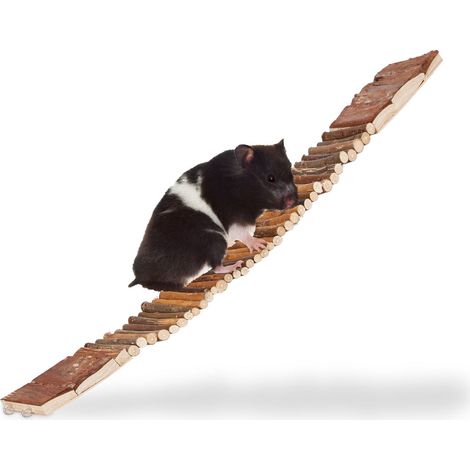 Nagetier auf hangebrucke