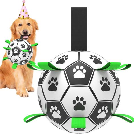 Hundespielzeugball - Hundespielzeugball - Hundespielzeugball - Hundespielzeugball - Hundespielzeugball - Hundespielzeugball - Hundespielzeugball - Hundespielzeugball (1/5)