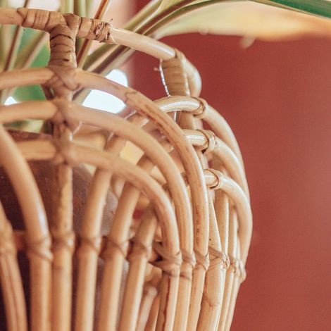 Panier de Rangement en Rotin, Cache-Pot pour Plantes et Panier à Linge - 3 Tailles - PANGIVO (1/4)