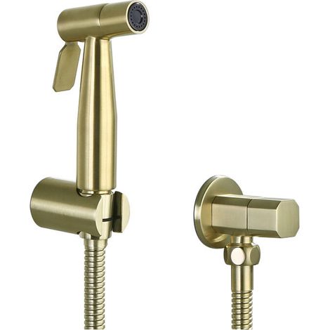 Stainless steel toilet and bidet toilet sprayer,gold
