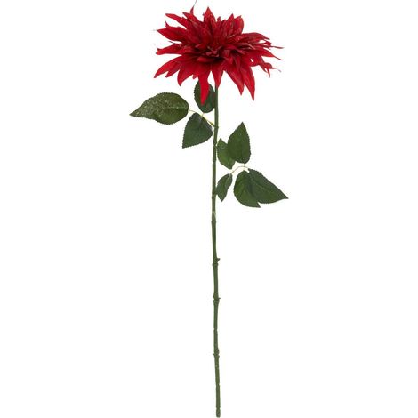 Bch dalie rosse h68 - Atmosphera créateur d'intérieur