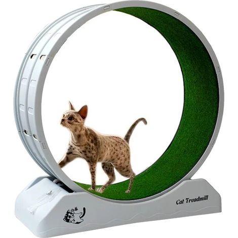 Rueda de ejercicio para gatos ultrasilenciosa y fácil de limpiar, color gris. (1/2)