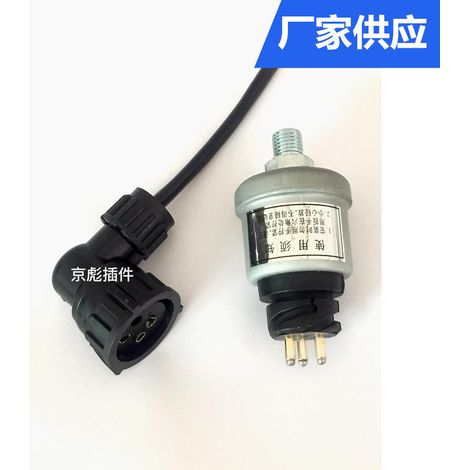 Shaanxi Heavy Truck Old Model Delong F3000M3000 Pressure Gauge Sensor Delong Sensor Plug Induction Plug (1/5)