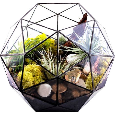 Paesaggio geometrico in miniatura in vaso di vetro, serra per piante succulente (specificare le dimensioni al momento dell'ordine: 25 x 25 x 19 cm)