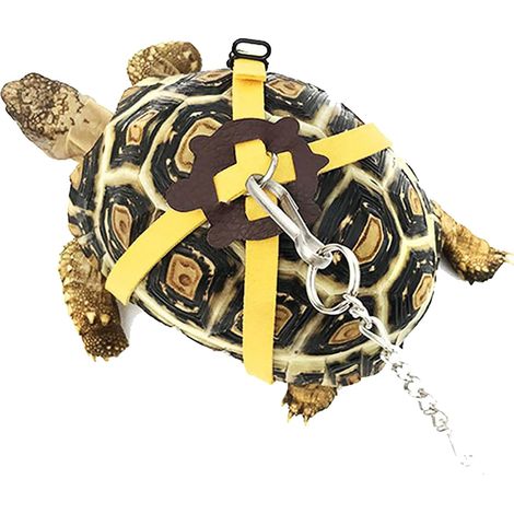 Laisse réglable pour tortue, laisse et harnais pour petits animaux, corde pour la marche en extérieur (jaune)