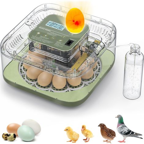 Incubateur pour œufs à couver, capacité de 12 œufs, avec retournement automatique des œufs et contrôle de l'humidité pour toutes les volailles - poulets, canards, cailles, dindes et plus encore (vert)