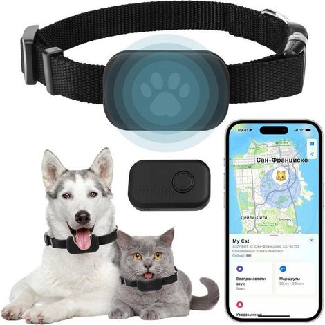 Collier traceur GPS chat temps réel – Sans abonnement, IP67 – Compatible iOS/Android – Anti-perte