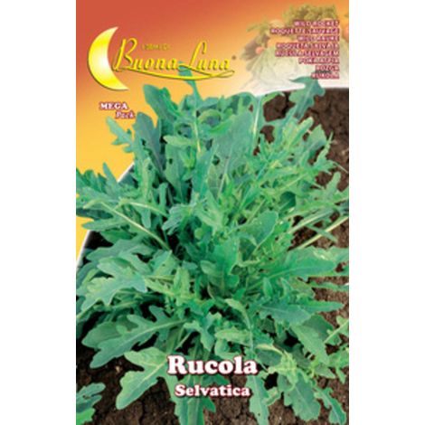 10PZ SEMI ORTO RUCOLA SELVATICA (1/2)