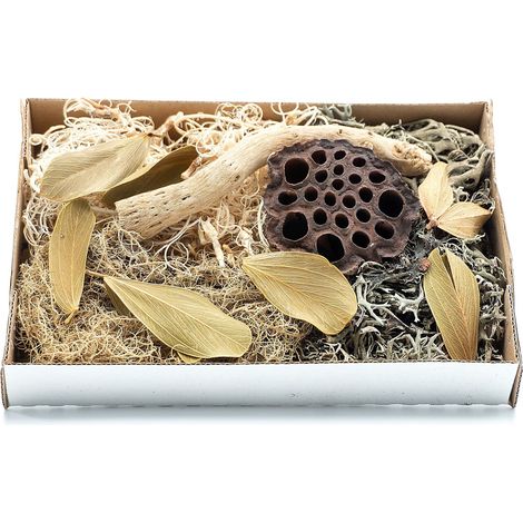 BioSet Desert Ensemble de finition pour le désert (1/5)