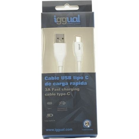 Caricabatterie da Parete iggual IGG317181