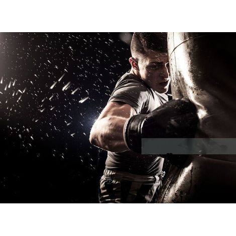 Gants de boxe professionnels pour adultes, adaptés à la boxe thaï, au sanda et à l'entraînement au sac de frappe gants de boxe unisexes pour toutes les saisons.