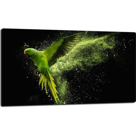 PLAQUE DE PROTECTION EN VERRE POUR CUISINIÈRE 90x52 PARROT (1/5)