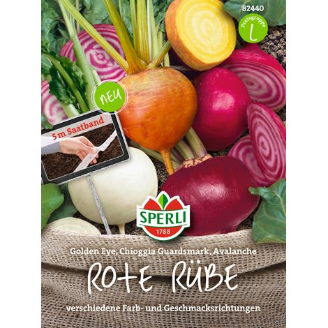 Sperli Rote Rüben - Gemüsesamen (1/2)
