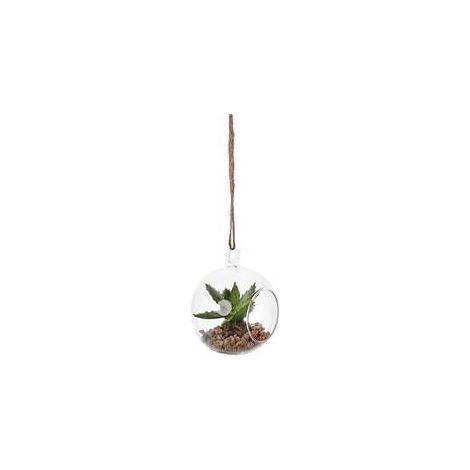 Piantina grassa in sfera di vetro da appendere, Ø10x10 cm (kit da 5)