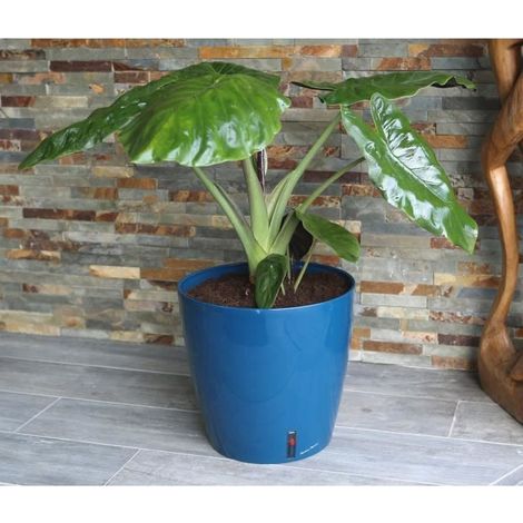 Vaso da fiori rotondo RIVIERA EVA NEW - Plastica - Diametro 31 cm - Blu (1/2)