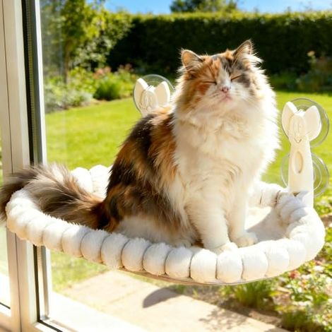 Hamaca para gatos con ventana: acogedora y sin cables, ideal para gatos de hasta 15 kg. Incluye un cojín lavable de doble cara. Esta hamaca es perfecta para que los gatos duerman la siesta, se relajen (1/5)