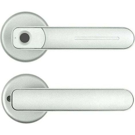 Serrure électronique à empreinte digitale, poignée de porte - Serrure à empreinte digitale et pour smartphone (argent) (1/4)