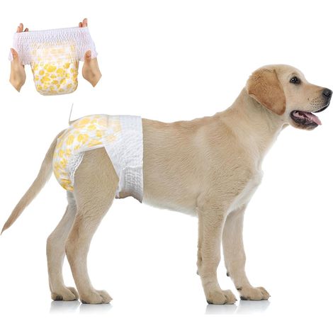 Paquet de 24 Couches jetables à traîner pour Chiens Femelles Couches pour Chiens mâles avec Ceinture Extensible Convient à la Taille 30 50 cm (1/5)