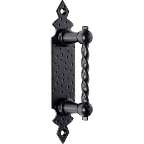 Asa fija con escudo -