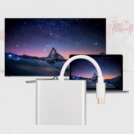 Adaptateur USB-C vers HDMI avec Alimentation PD pour Nintendo Switch et PC (1/5)