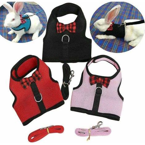 pair Harnais pour petits animaux Laisses Hamster Lapin Chat Furets Écureuil Rat Gilet Vêtements (1/4)