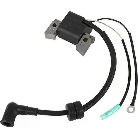 6BX-85571-00 CDI-Zündspuleneinheit für Yamaha Bootsmotor F4L, F4S, F6L, F6S, F6C 4-Takt und Hidea F6 4-Takt 6 PS (1/4)