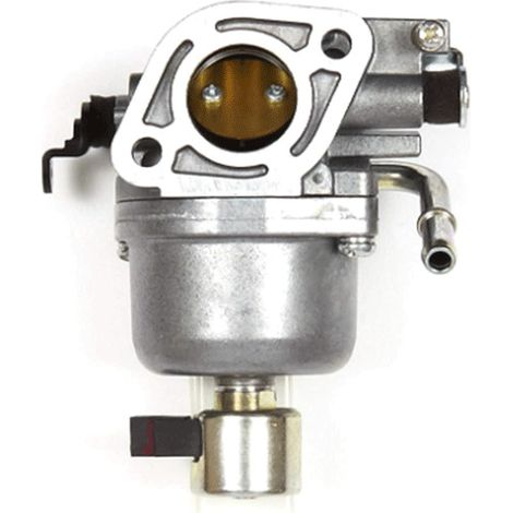 The carburetor 401577 is suitable for the Briggs & Stratton engine 699807.