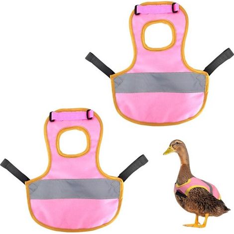 Allecto Plus - Pack de 2 chaquetas impermeables para pollos, patos y gansos, con correas elásticas - Rosa - Chaleco de seguridad avícola