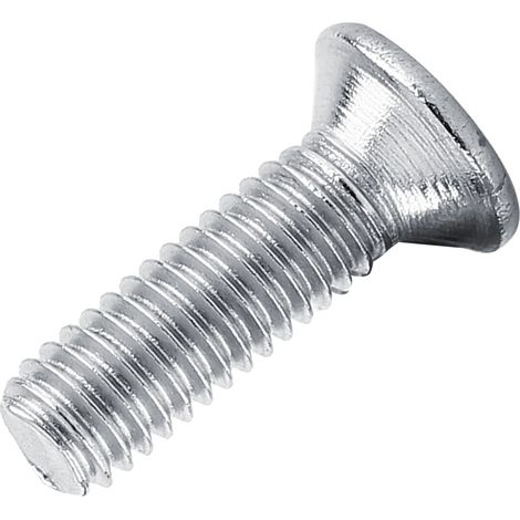 Sachet de 100 vis à tête plate fraisée en acier inoxydable M310 (1/5)