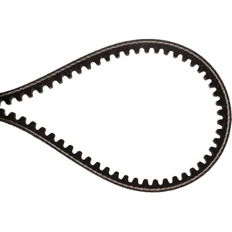 Courroie BRILL B15036