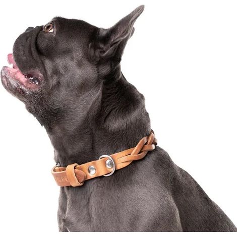 Collier pour chien en cuir tressé marron - Cuir à tannage végétal fait main, tailles XS à L - PANGIVO