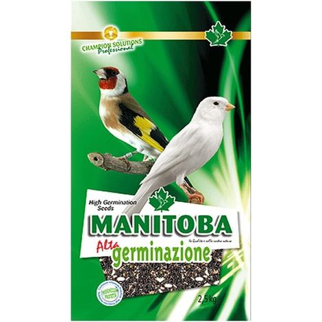 Alta Germinazione Manitoba