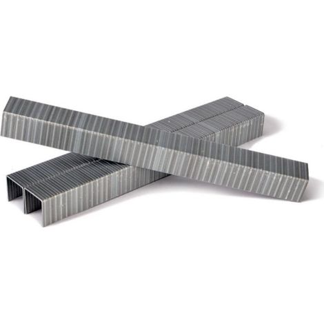 Agrafes Bostitch 1106001Z 60x11 1 mm 10000 pcs . galvanisé