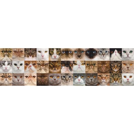 Frise de papier peint adhésive chatons - 14 x 500 cm de Sanders & Sanders (1/2)