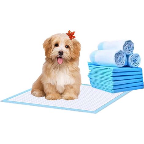 Pack Empapadores Perros Almohadillas de Entrenamiento 5 Capas a Prueba de Fugas - Alfombrillas Higiénica Desechables Ultraabsorbente Secado Rápido 45x60 60x60 60x90 cm 10 12 30 36 60 168 200 Unidades (1/5)